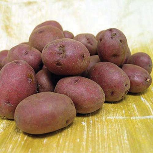 Red Potato